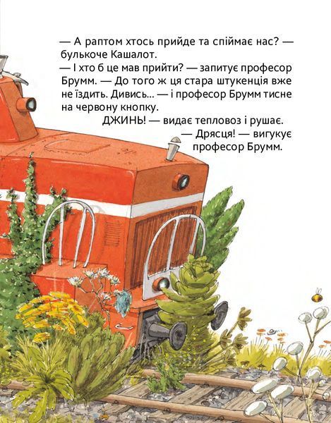 Шалений тиждень професора Брумма 9786178452131 фото