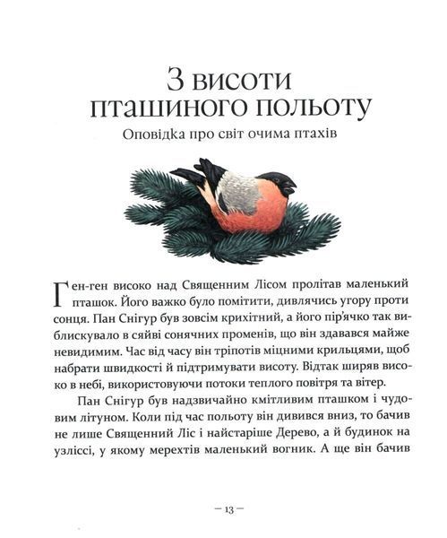 Гномичкові різдвяні оповідки 9786178318208 фото