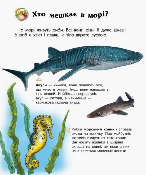 Енциклопедія дошкільника: Океани та моря 9786170936172 фото