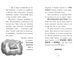 Тото : Тото. Кішка-ніндзя і таємниця крадія коштовностей. Книга 4 9786170974341 фото 6