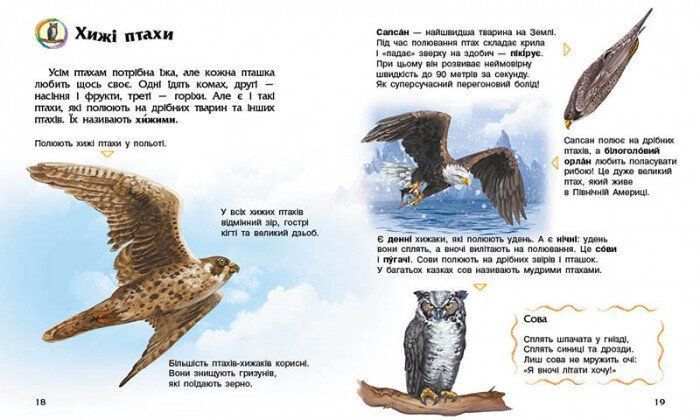 Енциклопедія дошкільника. Птахи 9786170969149 фото