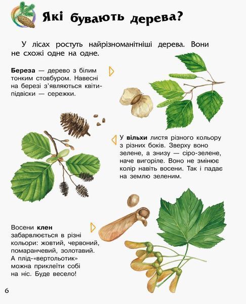 Енциклопедія дошкільника (нова) : Ліс 9786170936196 фото