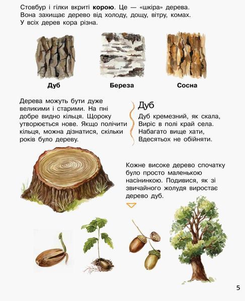 Енциклопедія дошкільника (нова) : Ліс 9786170936196 фото