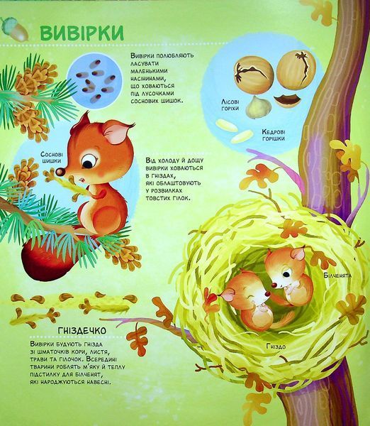 Як живуть крихітні створіння 9789669823939 фото