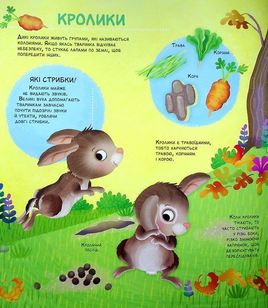 Як живуть крихітні створіння 9789669823939 фото