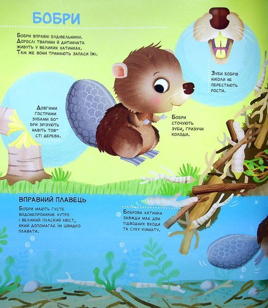 Як живуть крихітні створіння 9789669823939 фото