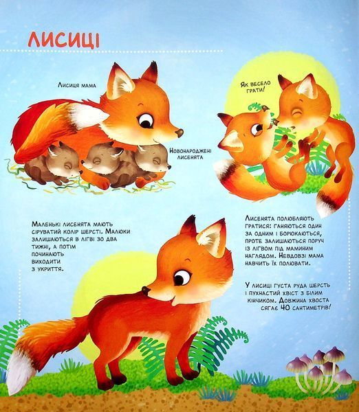 Як живуть крихітні створіння 9789669823939 фото
