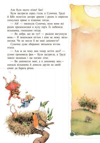 Фея Суничка : Ягідне чаклунство 9786170999962 фото
