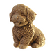 Картонний конструктор "Cartonic 3D Puzzle MALTIPOO" 4820191135192 фото 4