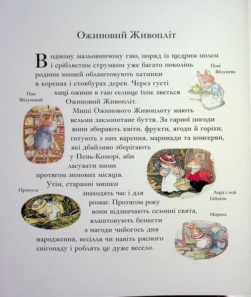 Рік в Ожиновому живоплоті 9786178093457 фото