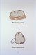 Порадник Пушин з усього на світі Pusheen 9786175232965 фото 6