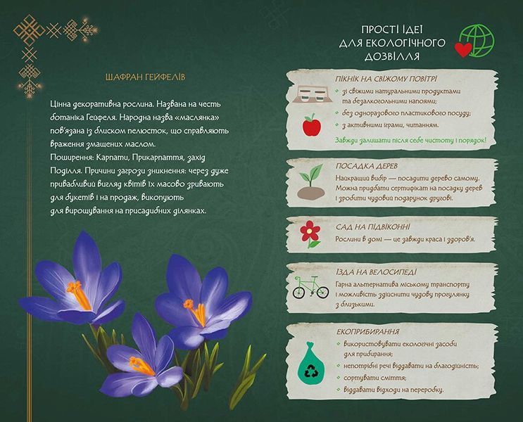 Мавка. Щоденник. Лісова (м'яка обкладинка) 9789667514051 фото