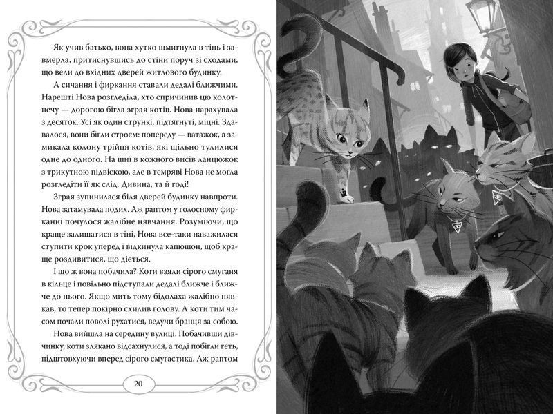 Опівнічні Коти. Книга 1. Школа фелідіксів 9786178373276 фото