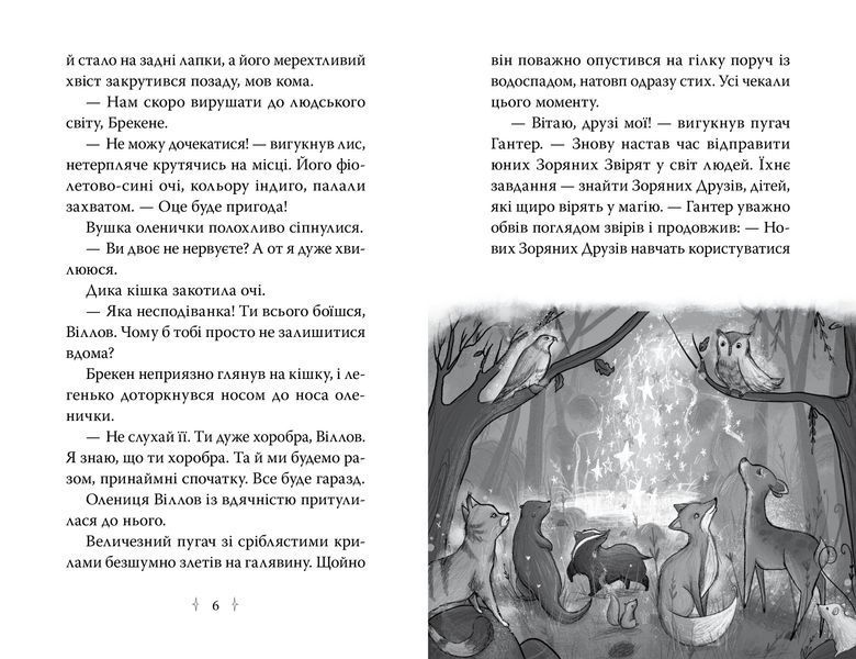 Зоряні Друзі. Книжка 1. Зачароване дзеркало 9786178512750 фото