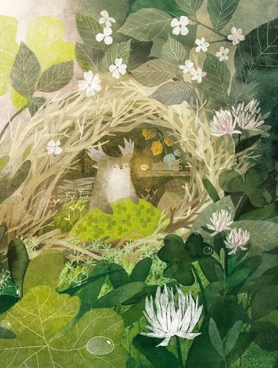 Туконі - мешканець лісу 9786176794929 фото