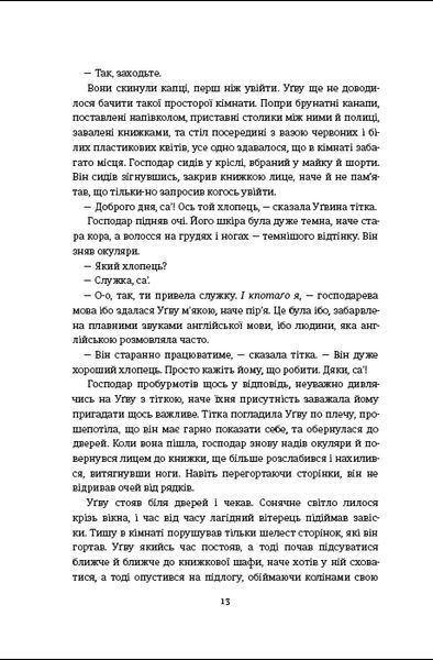 Половина жовтого сонця 9786178286347 фото
