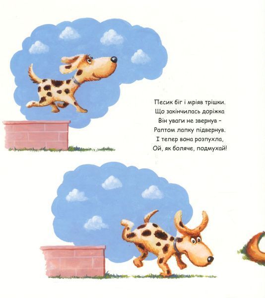 Полікуй мене 9786179504822 фото
